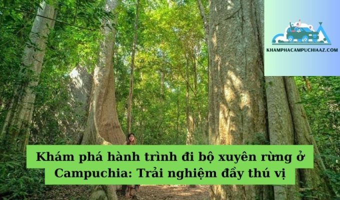 Khám phá hành trình đi bộ xuyên rừng ở Campuchia: Trải nghiệm đầy thú vị